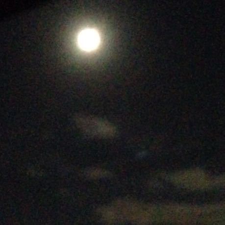 b0111970_20152171.jpg