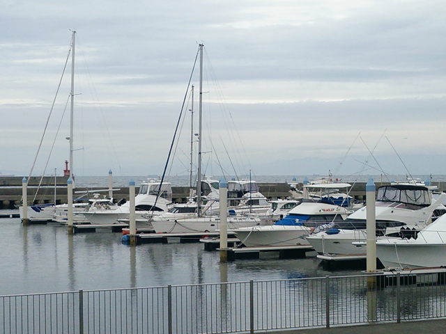 c0107075_19282611.jpg
