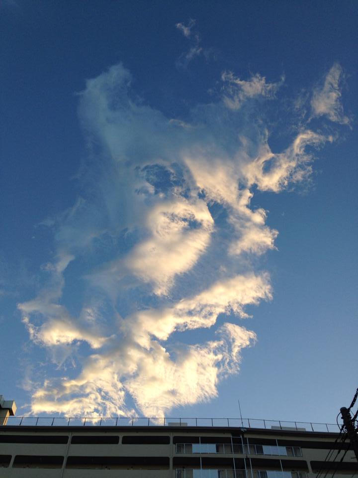 c0146875_0564721.jpg