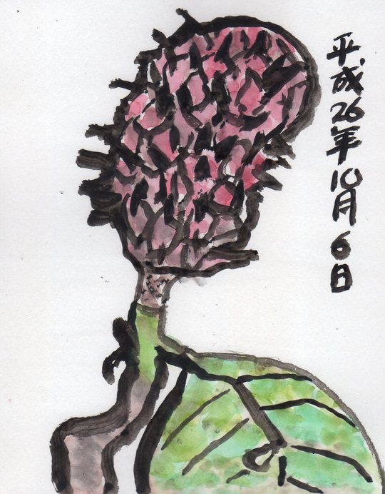 ホオノキの実_e0232277_10201447.jpg