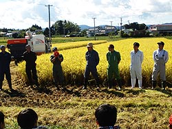 稲刈り体験(上目黒小・枝野小)_d0247484_15364939.jpg