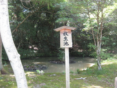c0013687_2235343.jpg