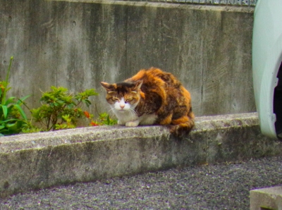c0339392_14315998.jpg