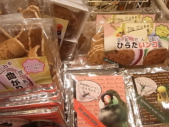 ５周年！cototokoお菓子情報、東急ハンズインコと鳥の雑貨展_d0322493_0334354.jpg