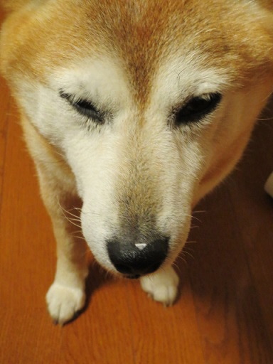 e0025596_22451692.jpg