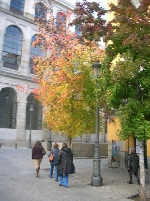 e0061699_02335077.jpg