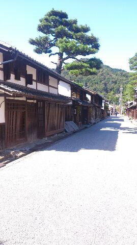 d0090101_2055145.jpg