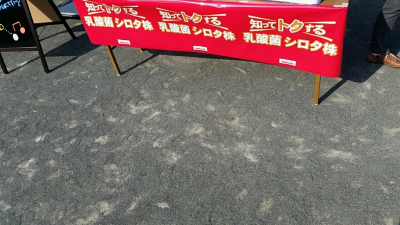 横須賀ゲートボール連盟 第三回タカヤマ薬局盃ゲートボール大会_d0092901_21142056.jpg