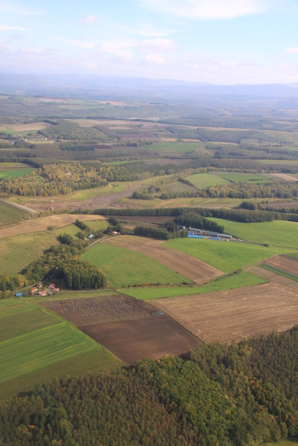 d0248502_931429.jpg