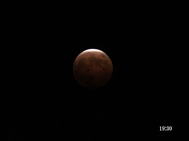 e0039703_2351427.jpg