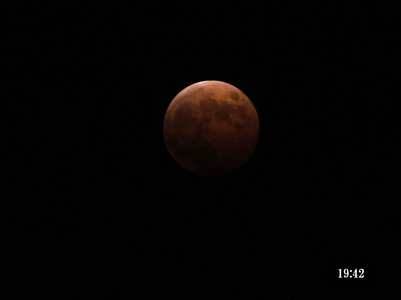 e0039703_23533633.jpg