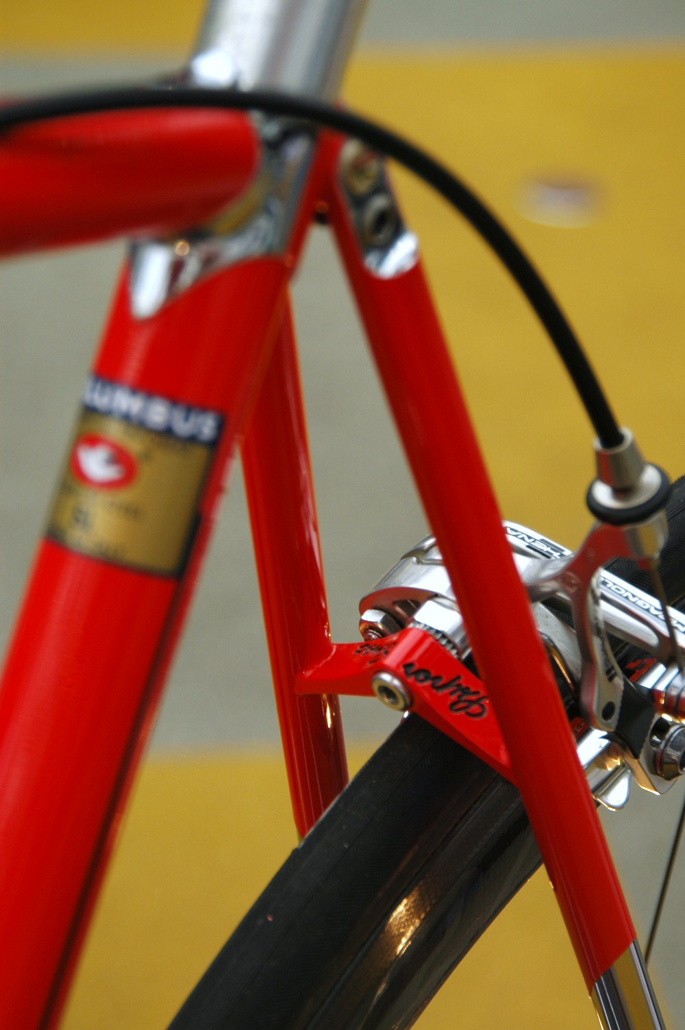 2015M　その7　ダイナソア_b0246207_21081862.jpg