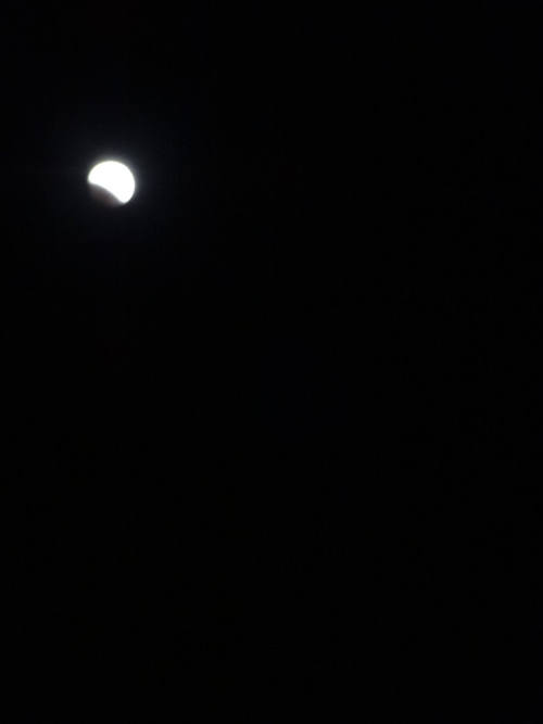 c0279611_1856470.jpg