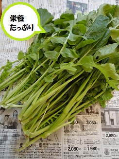 だいこんぱ。_c0182012_1237697.jpg