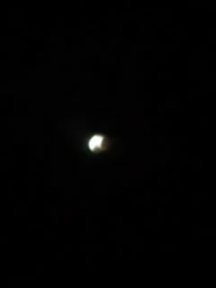 e0170912_21373826.jpg
