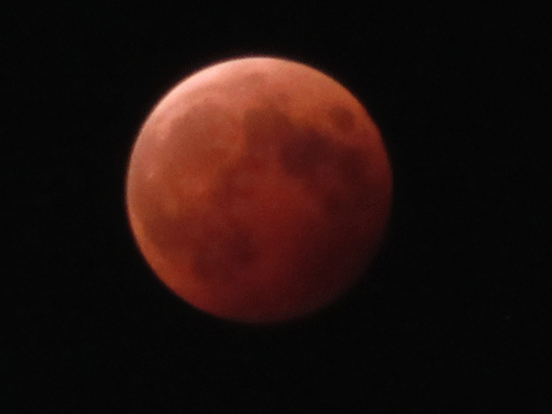 d0263216_21574643.gif