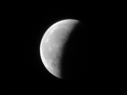 d0263216_21582859.gif