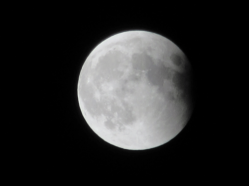 d0263216_21585397.gif