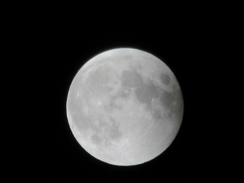 d0263216_21590903.gif