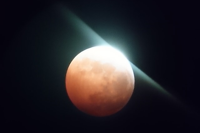 c0162817_20171370.jpg