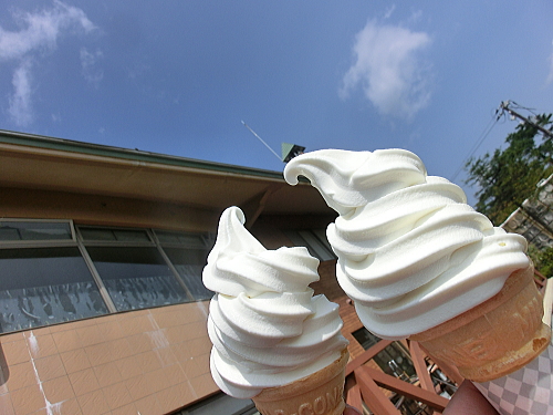 f0248120_2051229.jpg