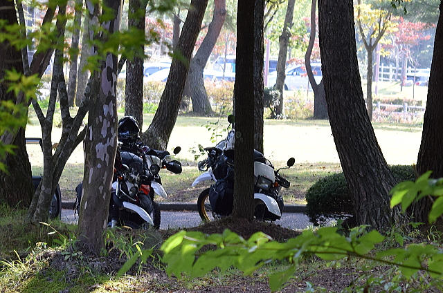 f0248120_2052563.jpg