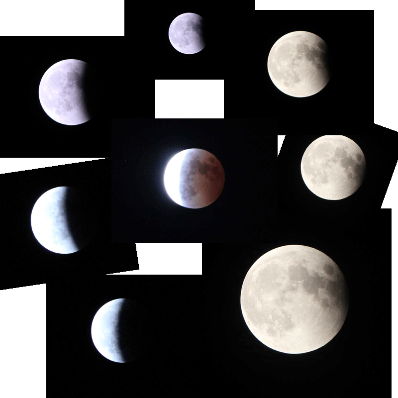 b0122522_22335463.gif