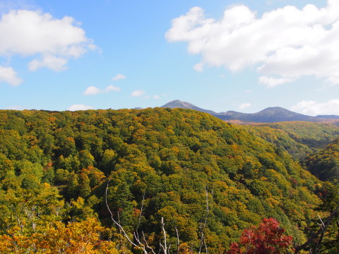 城ヶ倉大橋と酸ヶ湯温泉の紅葉（青森市）*2014.10.07_b0147224_21103346.jpg