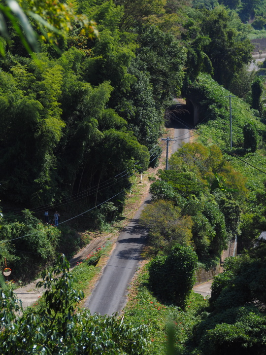 b0244424_05424.jpg