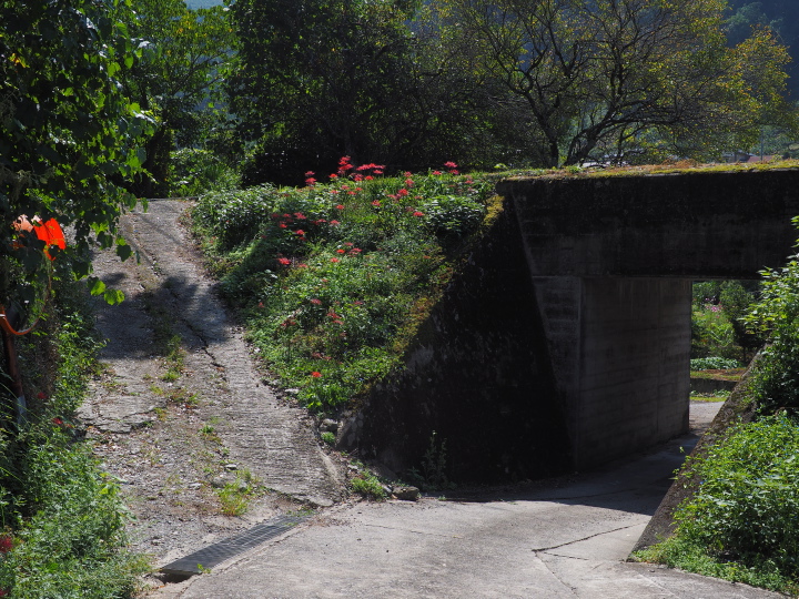 b0244424_1523712.jpg