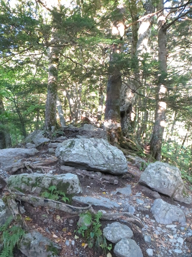 f0040525_204374.jpg