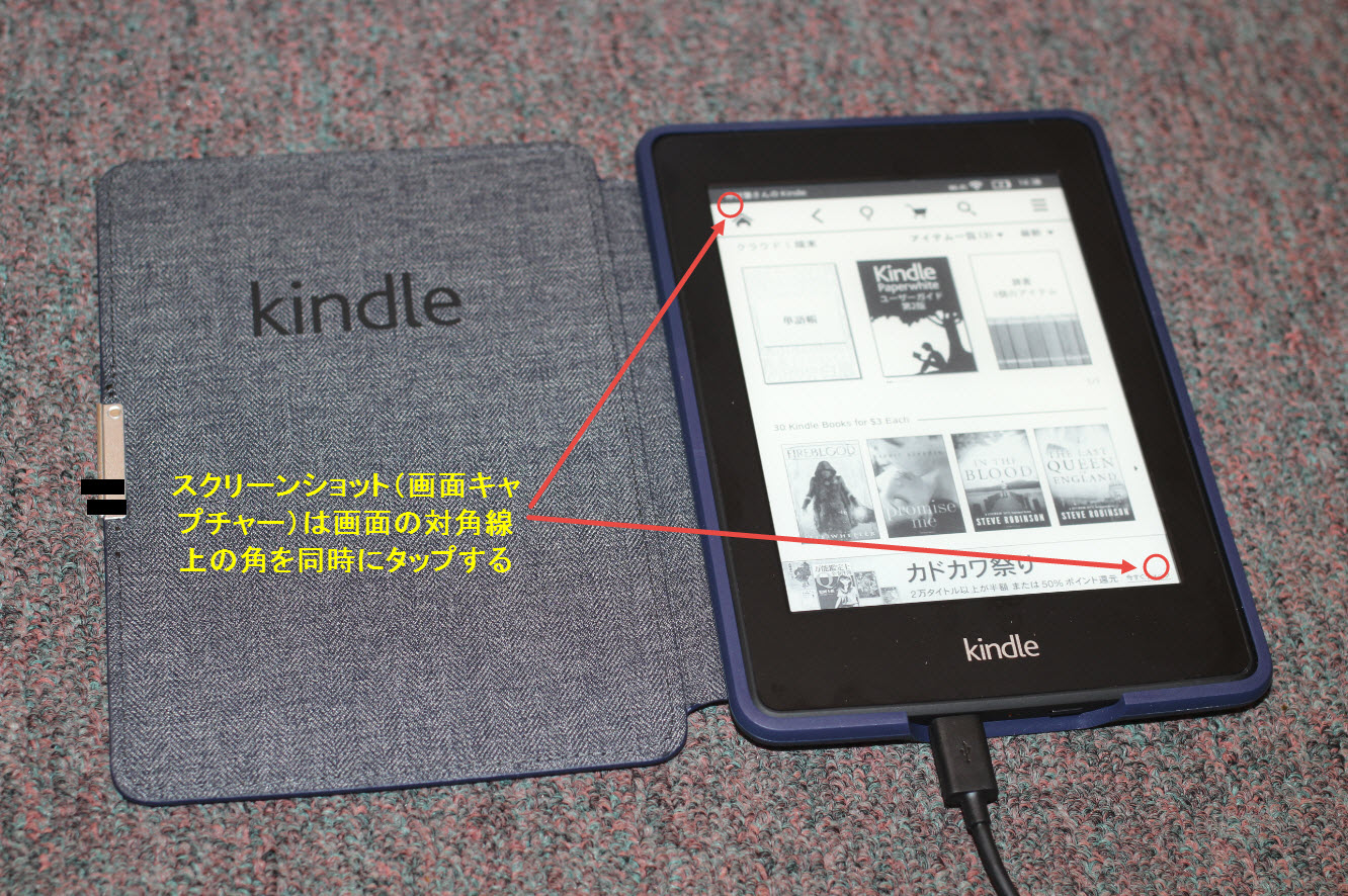 誕生日プレゼントのkindle_b0188828_338594.jpg