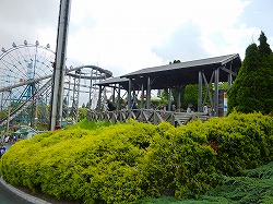 d0086228_1112270.jpg