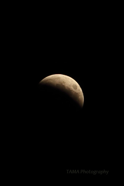 c0024729_20491011.jpg