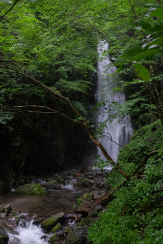 川苔山(百尋の滝)〜9月3日(水)〜　その①_b0281732_7111849.jpg