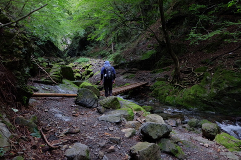 川苔山(百尋の滝)〜9月3日(水)〜　その①_b0281732_712977.jpg