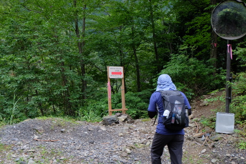 川苔山(百尋の滝)〜9月3日(水)〜　その①_b0281732_7131172.jpg