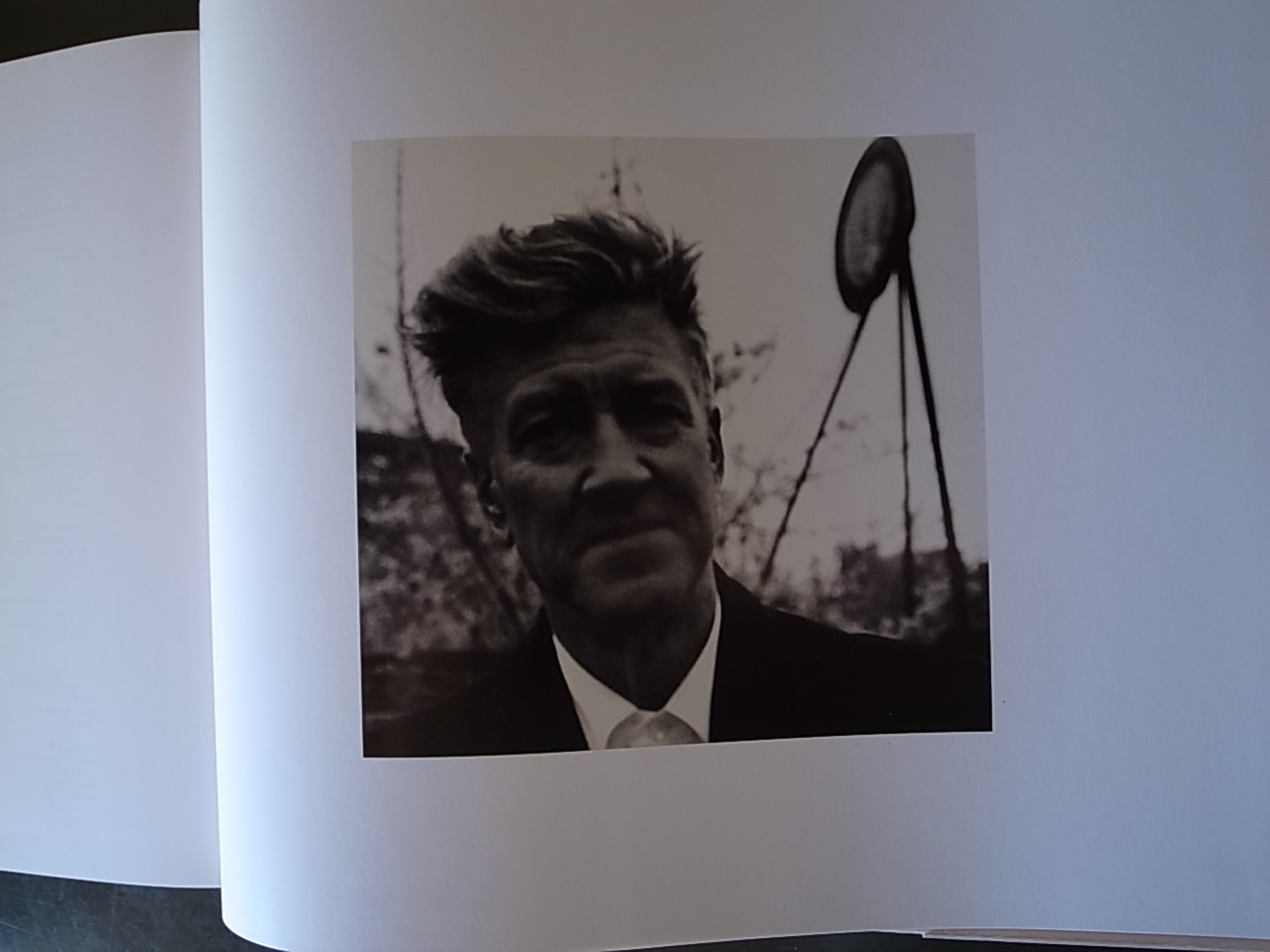 DAVID LYNCH DARK SPLEMDOR / Werner Spies_a0227034_12532770.jpg