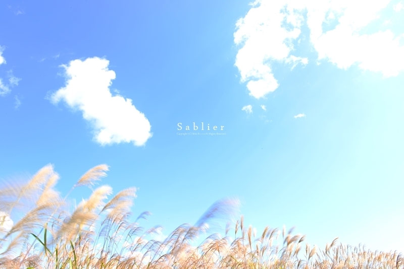 「S a b l i e r」のR i c oさん登場!_c0039735_1112331.jpg