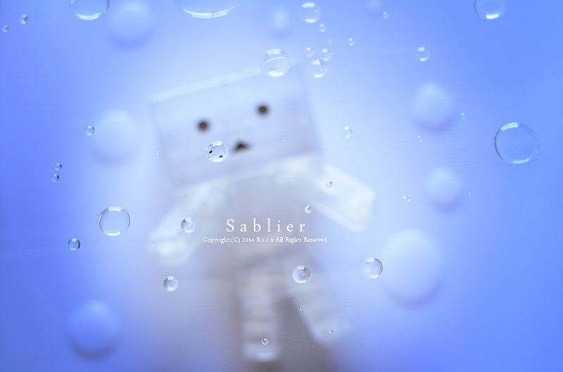 「S a b l i e r」のR i c oさん登場!_c0039735_1132915.jpg
