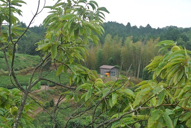 b0331937_20550348.jpg