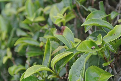 b0331937_20553259.jpg