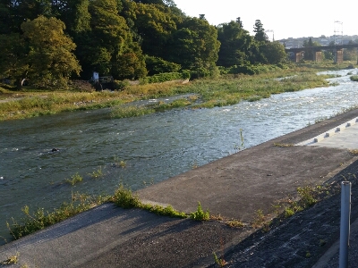 c0266737_7443678.jpg