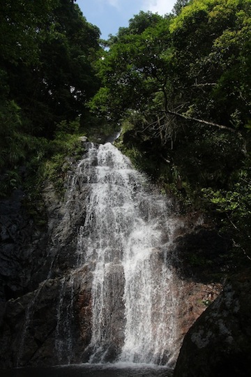 ☆梧桐寨瀑布-Ng Tung Waterfall−散髪瀑−☆_c0334838_21195331.jpg