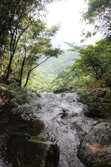 ☆梧桐寨瀑布-Ng Tung Waterfall−散髪瀑−☆_c0334838_21200957.jpg