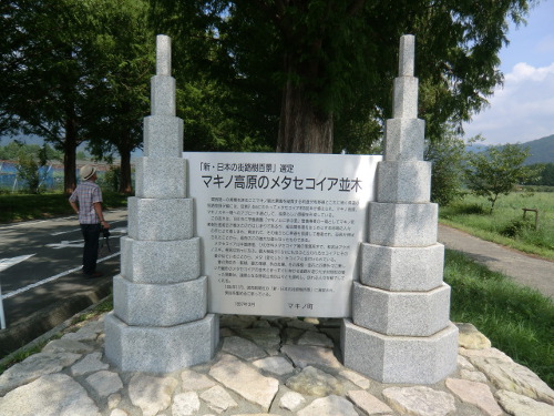 d0170639_1552518.jpg
