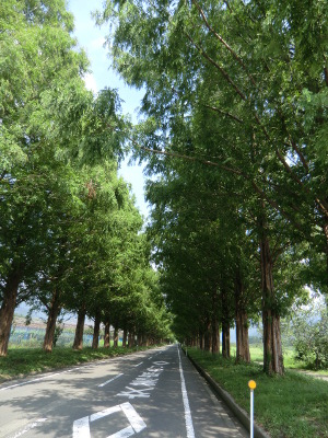 d0170639_1604140.jpg
