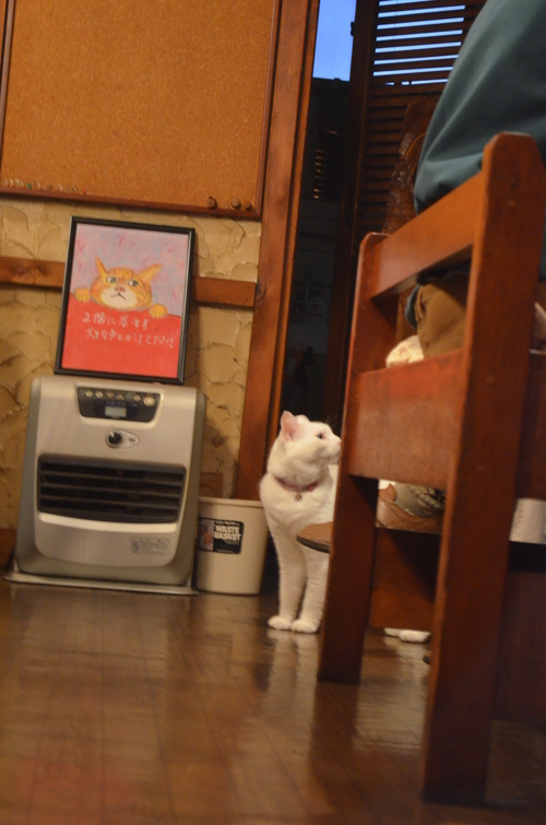 方舟さん。。涙。_b0207642_20585025.jpg