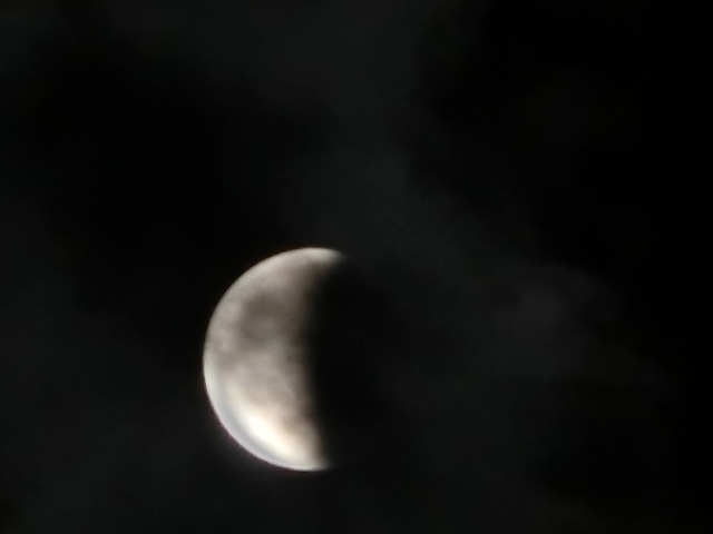 c0194042_22914.jpg