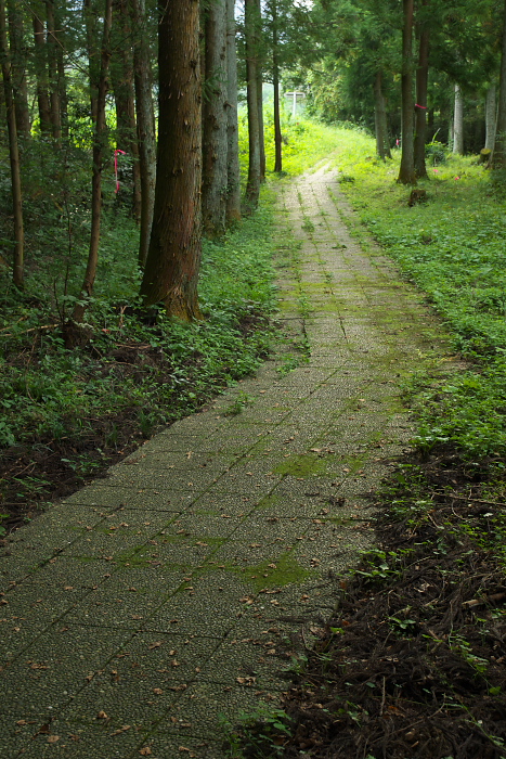 c0180845_23381946.jpg